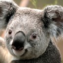 Foto del perfil de Mariuska53