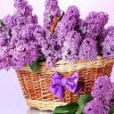 Foto del perfil de Camino2