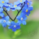 Foto del perfil de Laelia