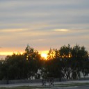 Foto del perfil de vigg