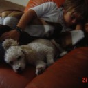 Foto del perfil de leona-7