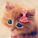 Foto del perfil de -pingui