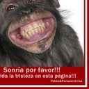 Foto del perfil de windo