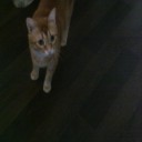 Foto del perfil de Carmen1945