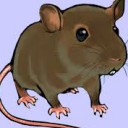 Foto del perfil de yoTelesforo