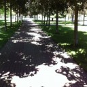 Foto del perfil de Sondemar