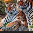 Foto del perfil de lemondain