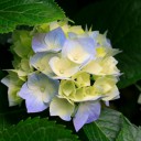 Foto del perfil de kina