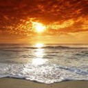 Foto del perfil de lcaro