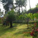 Foto del perfil de Margie