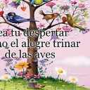 Foto del perfil de aguamarinaaguamarina