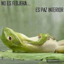 Foto del perfil de Corso