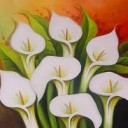 Foto del perfil de sonbellas